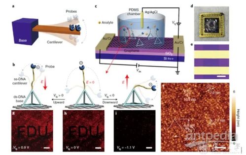 4分鐘內出核酸結果 復旦大學如何實現精準生物檢測
